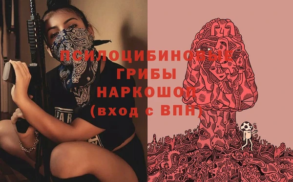 крисы Алзамай